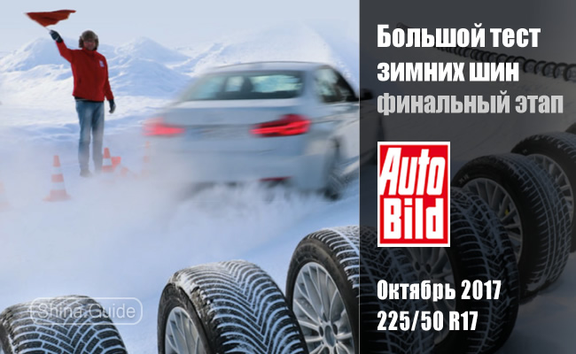 Auto Bild 2017: Тест зимних шин размера 225/50 R17 (финальный этап)