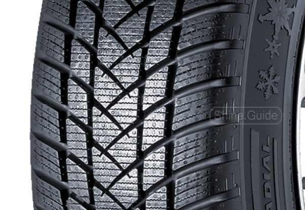 GT Radial WinterPro 2 (Winter Pro 2) | Обзор шины на Shina Guide
